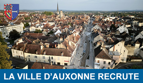 Offres d'emploi