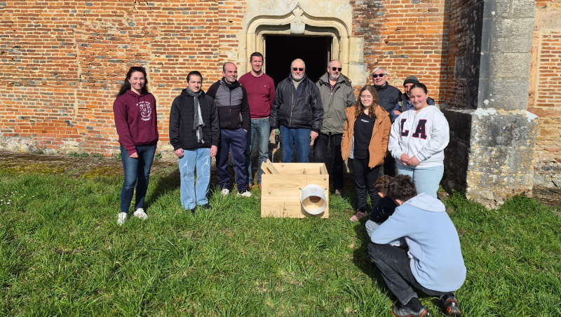 Nos collégiens fabriquent et installent des nichoirs pour les chouettes