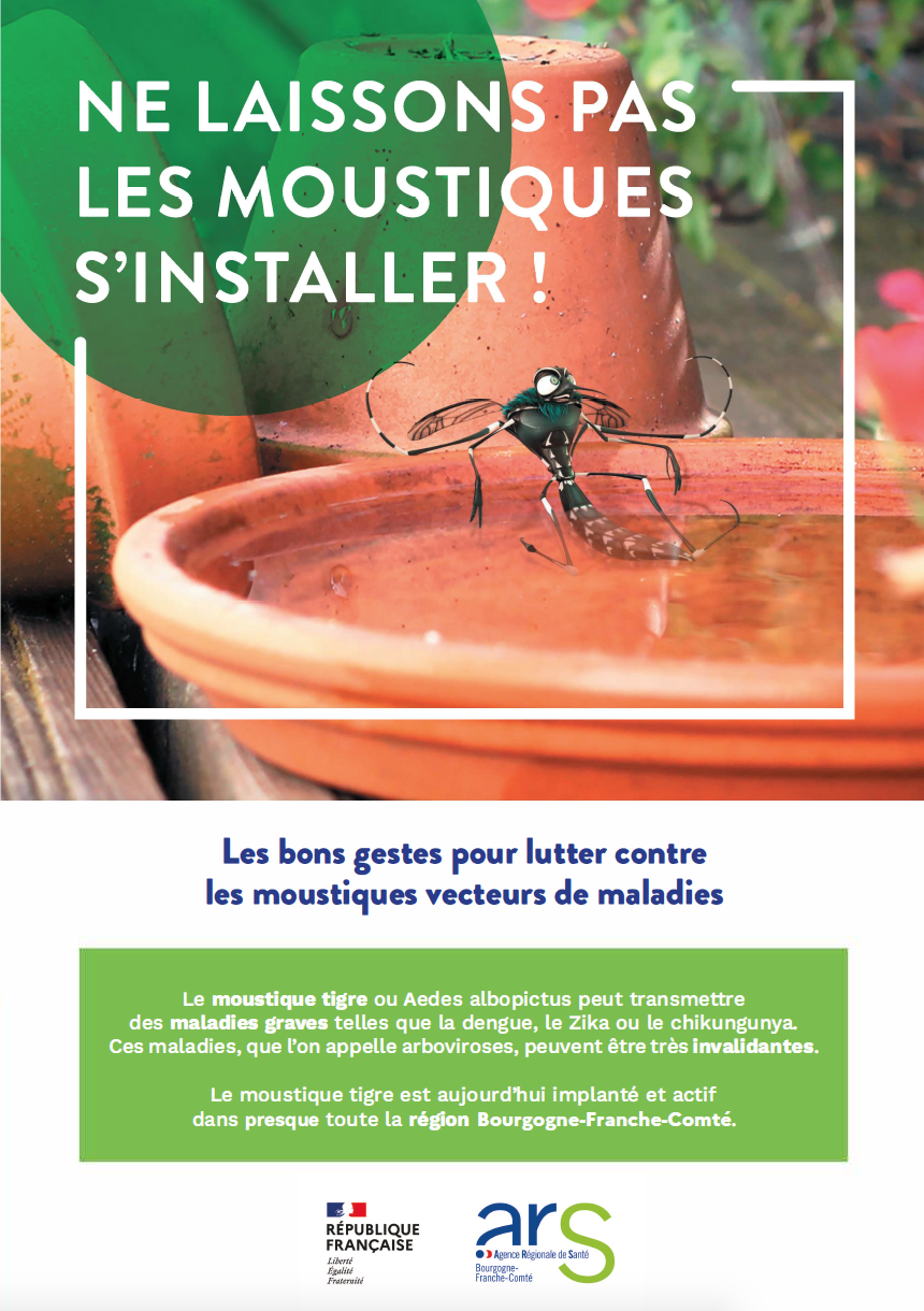 Ne laissons pas le moustique tigre s'installer !