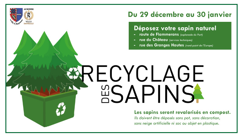 Recyclage des sapins de Noël